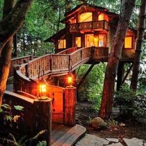 Tree House Cottage Construction services in India