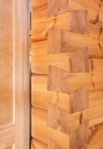 Wood House Developers in India