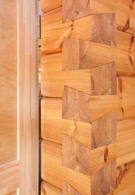 Wood House Developers in India